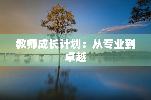 教师成长计划:从专业到卓越 教师成长计划:从专业到卓越