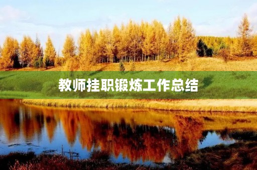 教师挂职锻炼工作总结