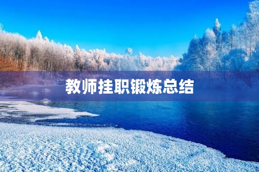 教师挂职锻炼总结