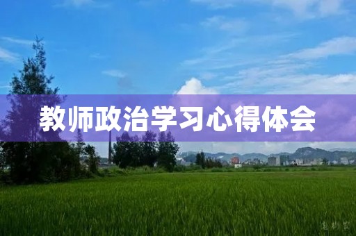 教师政治学习心得体会