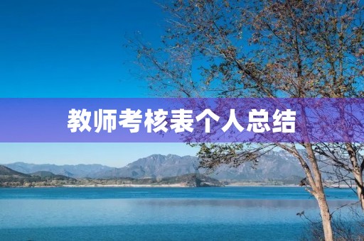 教师考核表个人总结