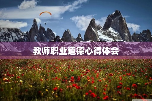 教师职业道德心得体会