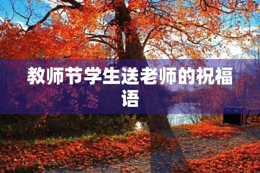 教师节学生送老师的祝福语(教师节优美句子摘抄)