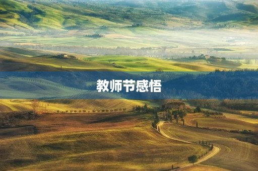 教师节感悟