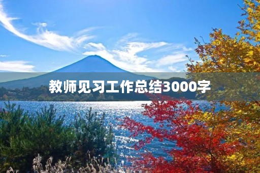教师见习工作总结3000字 教师见习工作总结3000字