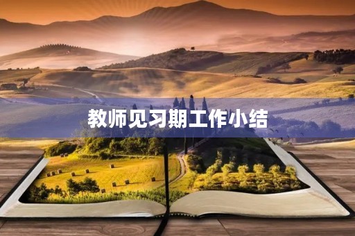 教师见习期工作小结