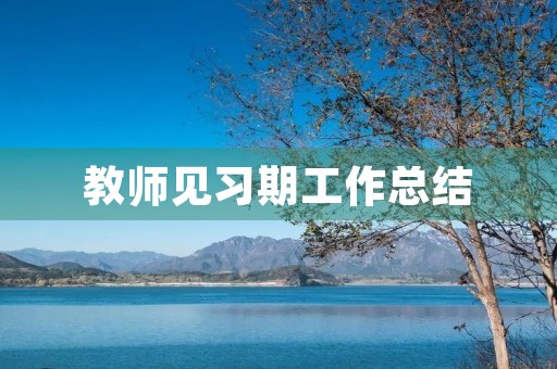 教师见习期工作总结