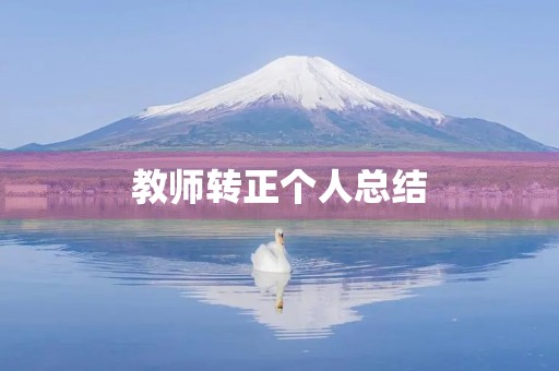 教师转正个人总结