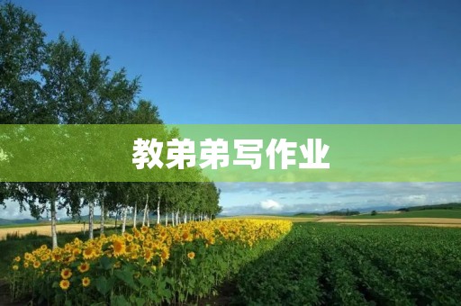 教弟弟写作业 教弟弟写作业
