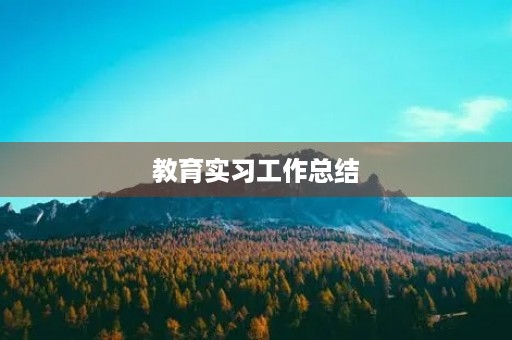 教育实习工作总结，教师教育机构实习总结5篇