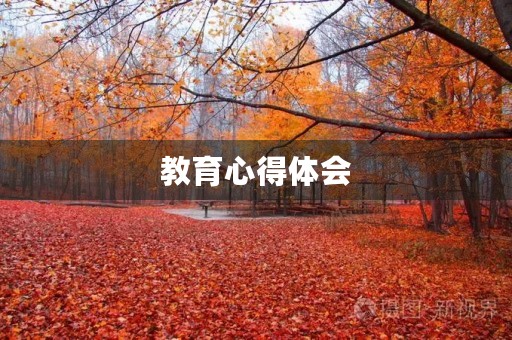 教育心得体会 教育心得体会