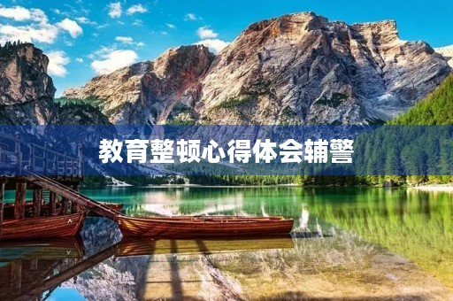 教育整顿心得体会辅警