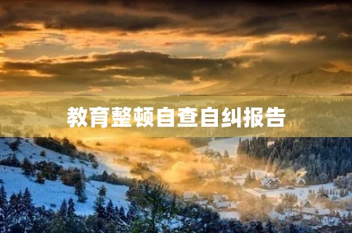 教育整顿自查自纠报告