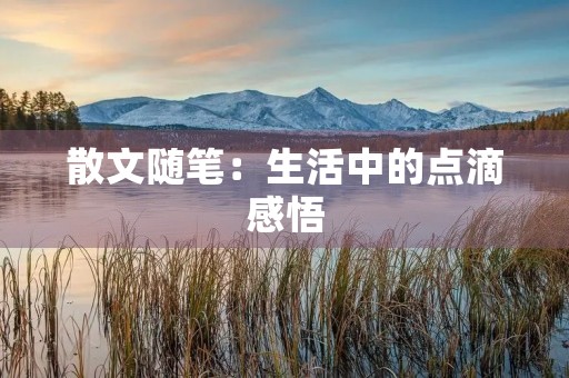 散文随笔：生活中的点滴感悟