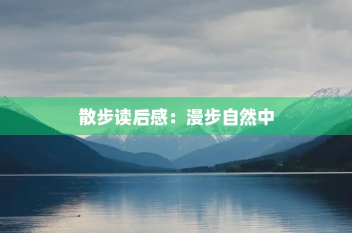 散步读后感：漫步自然中，体味生命的美好