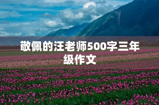 敬佩的汪老师500字三年级作文 敬佩的汪老师500字三年级作文