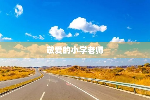 敬爱的小学老师，感谢您的辛勤付出