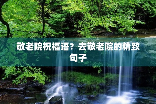 敬老院祝福语?去敬老院的精致句子