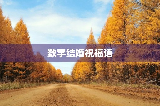 数字结婚祝福语(和数学有关的新婚祝福)