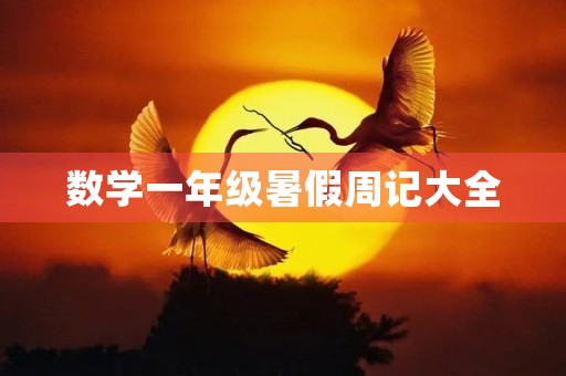 数学一年级暑假周记大全