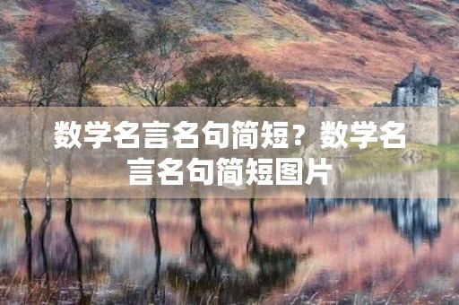 数学名言名句简短？数学名言名句简短图片
