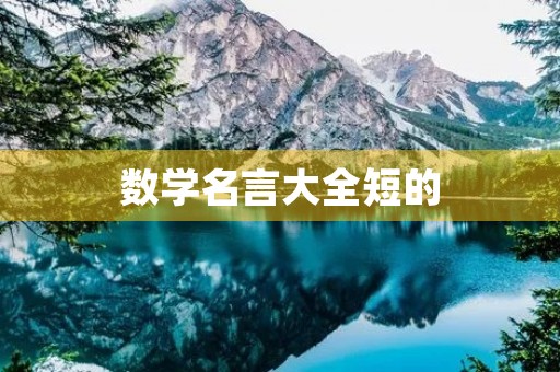 数学名言大全短的(数学名言(短))