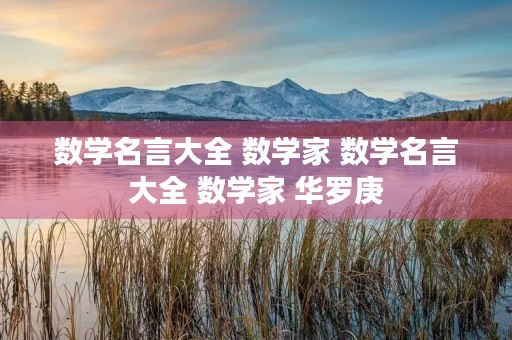 数学名言大全 数学家 数学名言大全 数学家 华罗庚 数学名言大全 数学家 数学名言大全 数学家 华罗庚