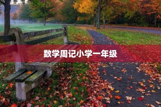 数学周记小学一年级 数学周记小学一年级