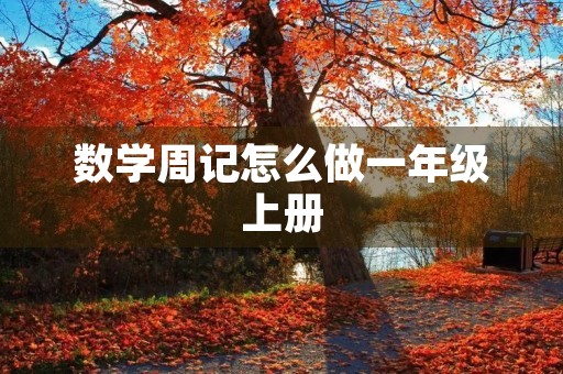 数学周记怎么做一年级上册