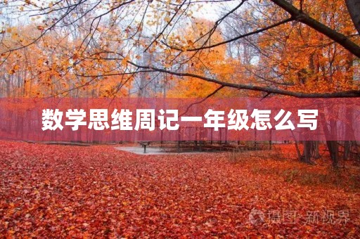 数学思维周记一年级怎么写