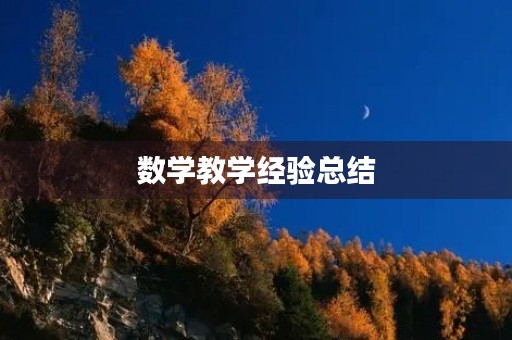 数学教学经验总结