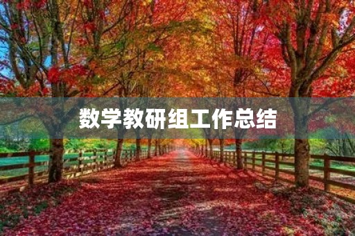 数学教研组工作总结 数学教研组工作总结