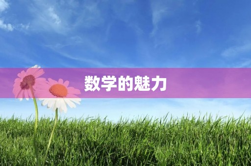 数学的魅力 数学的魅力