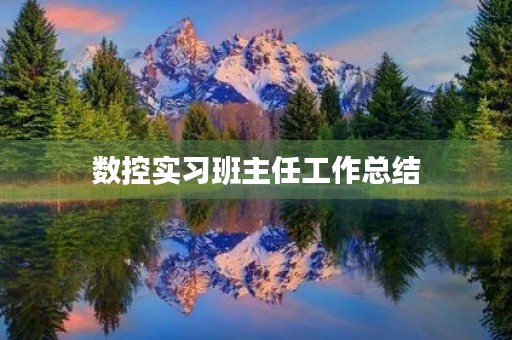 数控实习班主任工作总结 数控实习班主任工作总结