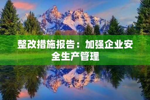 整改措施报告：加强企业安全生产管理
