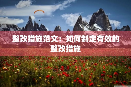 整改措施范文：如何制定有效的整改措施