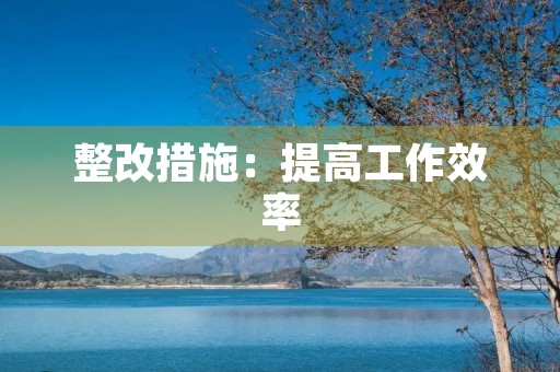 整改措施:提高工作效率,优化管理流程 整改措施:提高工作效率,优化管理流程