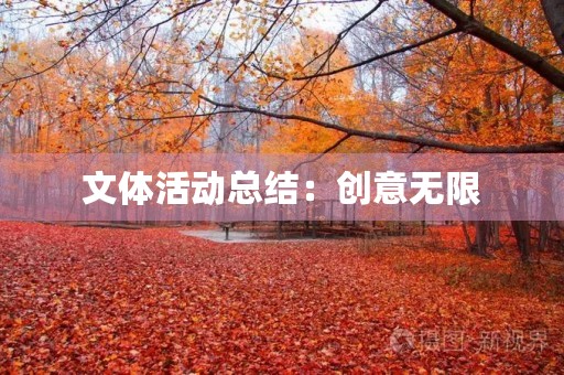 文体活动总结：创意无限，热情满满