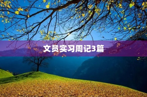 文员实习周记3篇 文员实习周记3篇