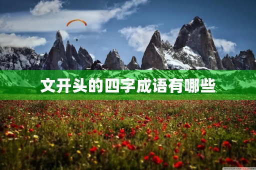 文开头的四字成语有哪些