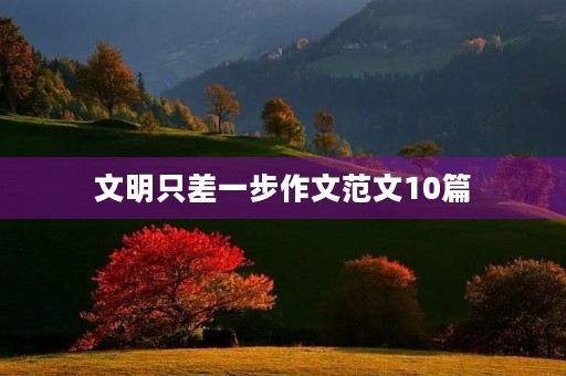 文明只差一步作文范文10篇 文明只差一步作文范文10篇