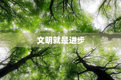 文明就是进步 文明就是进步