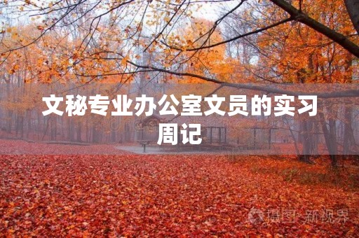 文秘专业办公室文员的实习周记 文秘专业办公室文员的实习周记