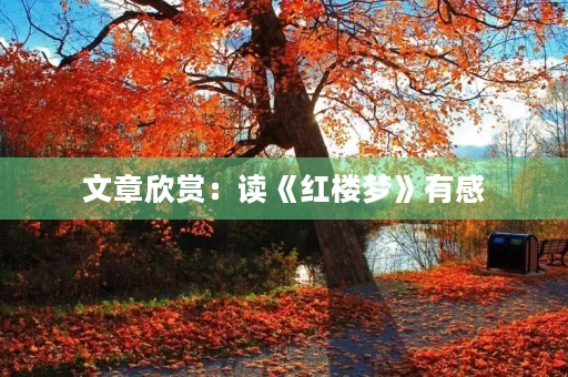 文章欣赏：读《红楼梦》有感