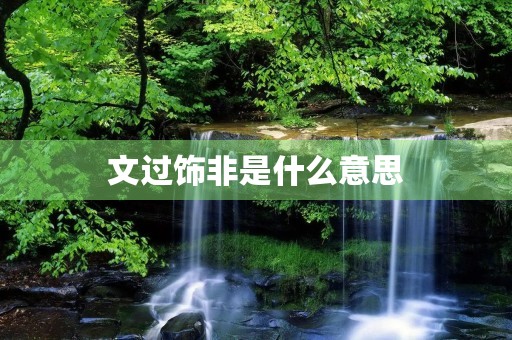 文过饰非是什么意思 文过饰非是什么意思