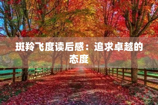 斑羚飞度读后感：追求卓越的态度