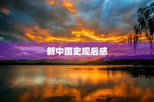 新中国史观后感
