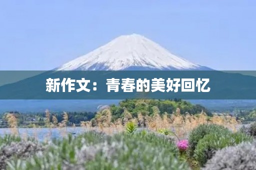 新作文：青春的美好回忆
