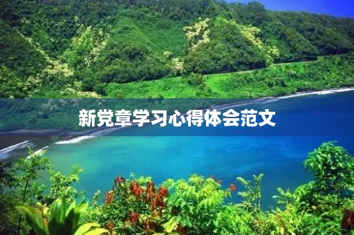 新党章学习心得体会范文