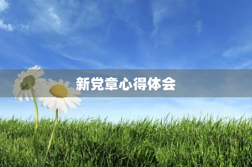 新**心得体会